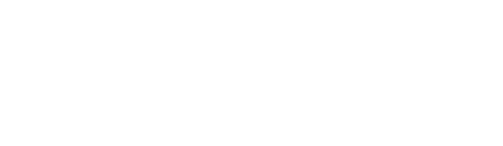 logo flash