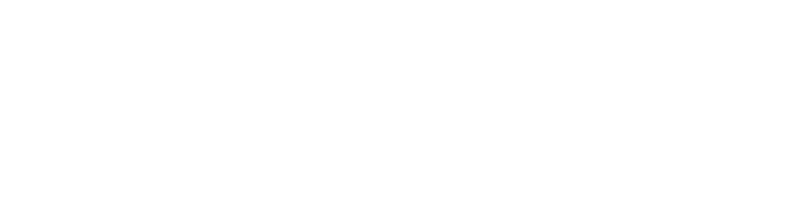 logo inspect