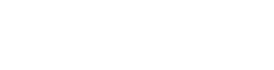 logo cognyte