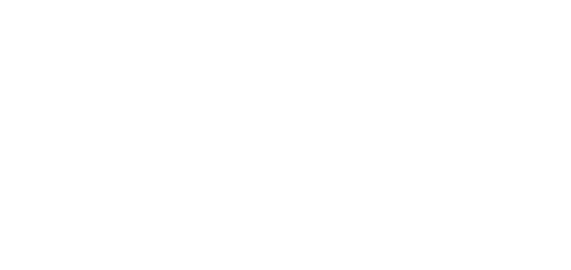 logo vwisecurity